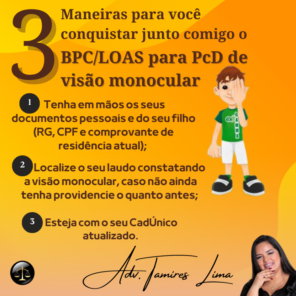 BPC-LOAS-VISÃO-MONOCULAR